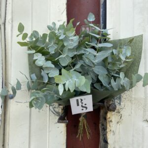 Bouquet d'eucalyptus