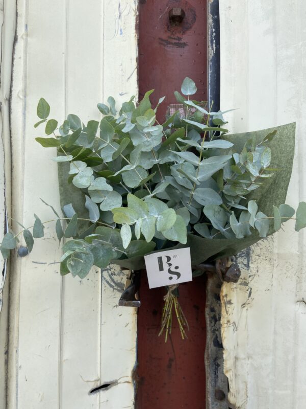 Bouquet d'eucalyptus