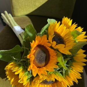 Brassée | Tournesols