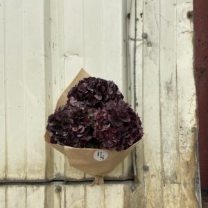 Brassée I Hortensias