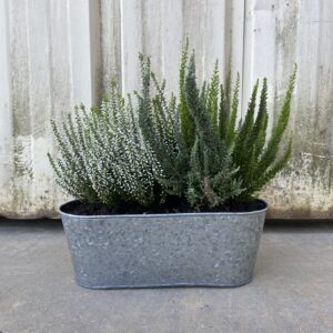 Jardinière I Bruyères