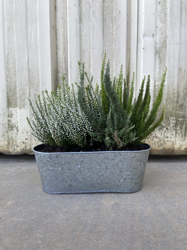 Jardinière I Bruyères
