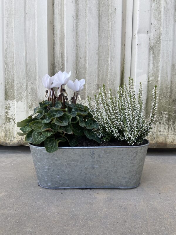 Jardinière fleurie I Zinc